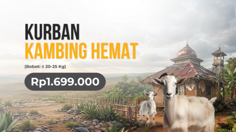 Kurban Kambing Hemat